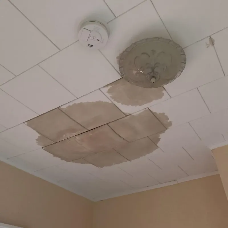 Ceiling Water Damage Repair in Mercer Island, WA