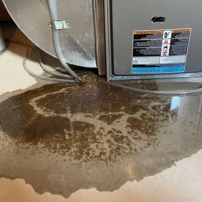 Pipe Burst and Leak Restoration in Mercer Island, WA